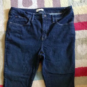 Madewell Plus Skinny Jeans in size 16W and 18W